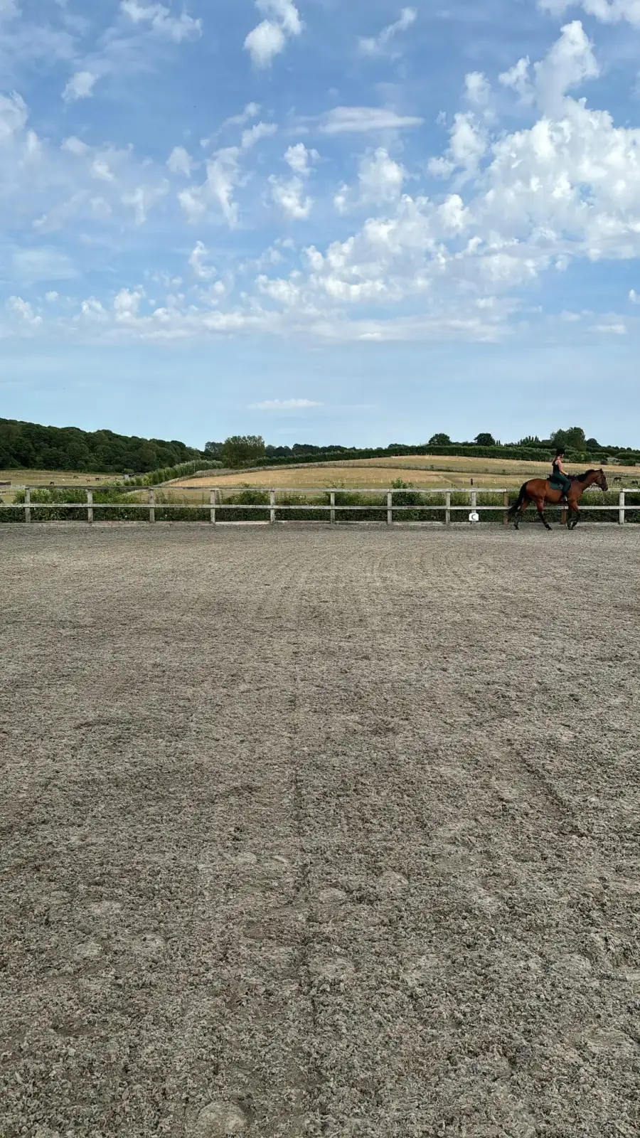 Livery Yard